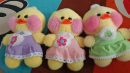 Small Size Selections 25*16